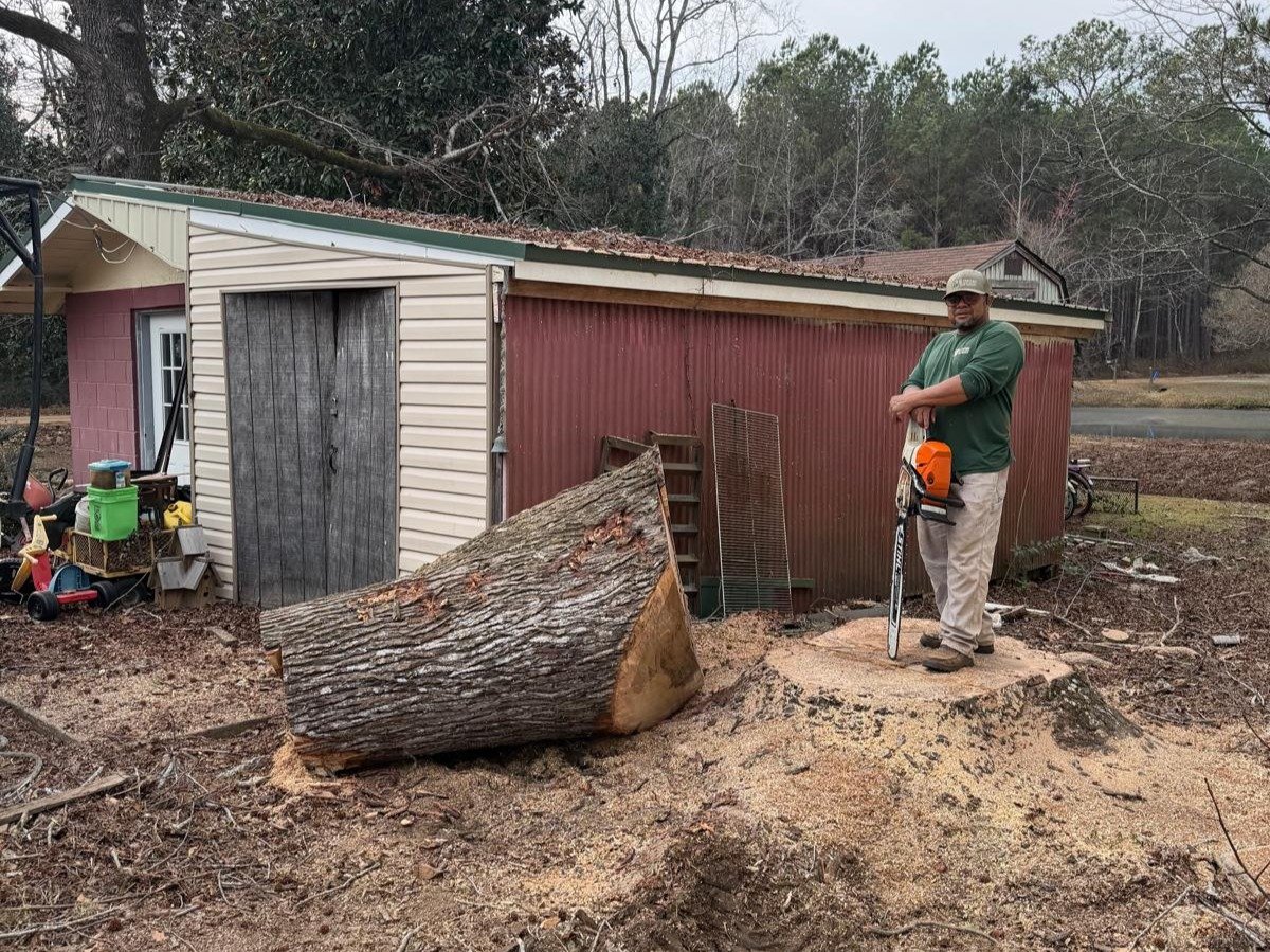 El Costeño Tree Service LLC